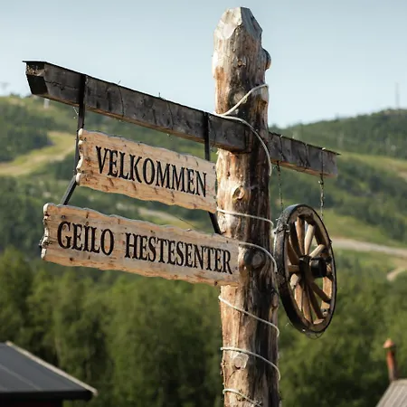 דירה On Geilotunet, Close To Center *