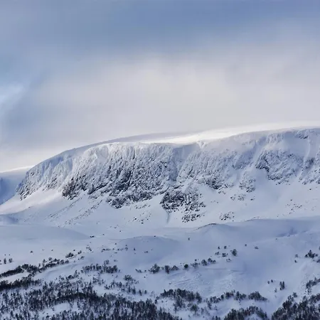 On Geilotunet, Close To Center