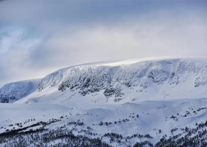 On Geilotunet, Close To Center
