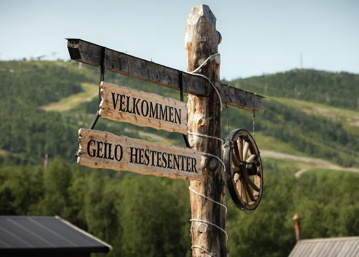 アパート On Geilotunet, Close To Center *